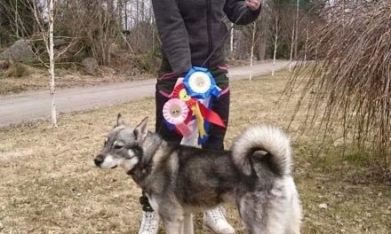Älgholmens Kennel