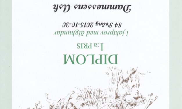 Diplom